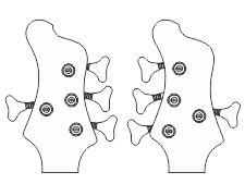 Bas czterostrunowy - stroiki w dwustronnym układzie 1+3 (jeden lewy i trzy prawe) oraz główka z układem 3+1 (trzy lewe oraz jeden prawy) Dwustronny układ stroików na główce czterostrunowej gitary basowej